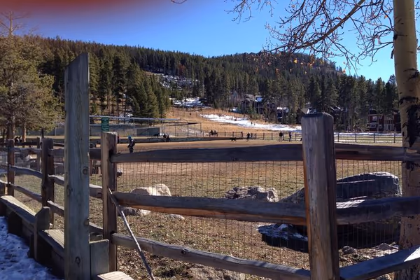 Mount Jefferson Park Off Leash Dog Area